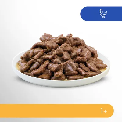 Kulhollinen mehukkaita kananpaloja kastikkeessa. Kanan symboli oikeassa yläkulmassa ja ikämerkintä '1+' oikeassa alakulmassa.