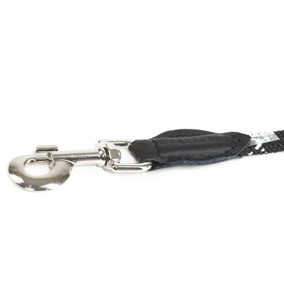 Close-up of a silver metal carabiner with black leather and braided material, part of a dog lead.