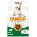 IAMS Advanced Nutrition Adult Large Dog med lam