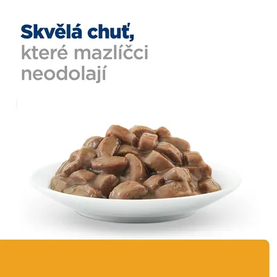 Text v češtine: Skvělá chuť, které mazlíčci neodolají. Miska s kúskami krmiva v omáčke.