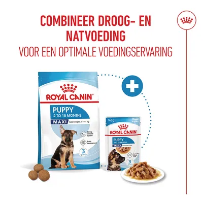 Royal Canin Maxi Puppy Hondenvoer in Saus