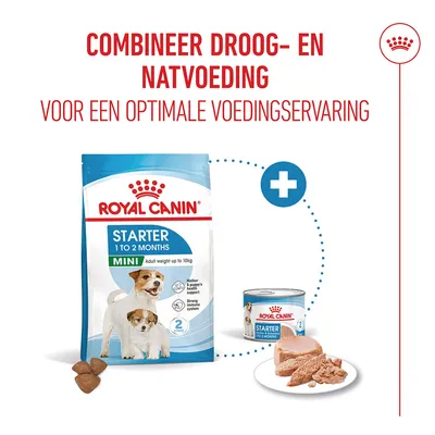 Royal Canin Starter Mousse Mother & Babydog Hondenvoer