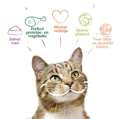 Zuiver voer, Perfect proteïne- en vetgehalte, Dierenwelzijn, Betere planeet, Voor blije en gezonde katten