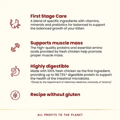 Almo Nature: HFC Kitten, kurczak, karma sucha, 1,2 kg + Kitten z kurczakiem, 6 x 70 g gratis!