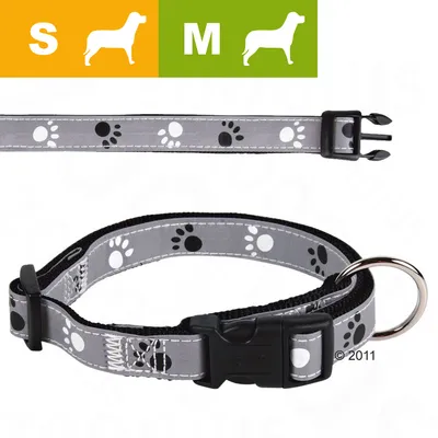 Šedý obojek s potiskem tlapek, plastová přezka, kovový kroužek. Velikosti S a M zobrazeny ikonami psa a písmeny v oranžovém a zeleném poli.