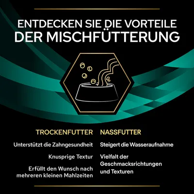 Entdecken Sie die Vorteile der Mischfütterung: Trockenfutter unterstützt Zahngesundheit, knusprige Textur, kleine Mahlzeiten. Nassfutter steigert Wasseraufnahme, Vielfalt an Geschmacksrichtungen.