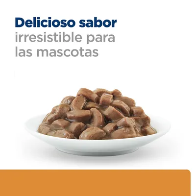 Delicioso sabor irresistible para las mascotas. Plato blanco con trozos de comida húmeda marrón en salsa.
