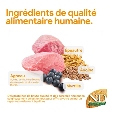 N&D Ancestral Grain : Ingrédients Agneau, Épeautre, Avoine, Myrtille. Protéines de haute qualité et anciennes céréales pour une alimentation équilibrée des animaux. N&D Ancestral Grain : Ingrédients Agneau, Épeautre, Avoine, Myrtille. Protéines de haute qualité et anciennes céréales pour une alimentation équilibrée des animaux.