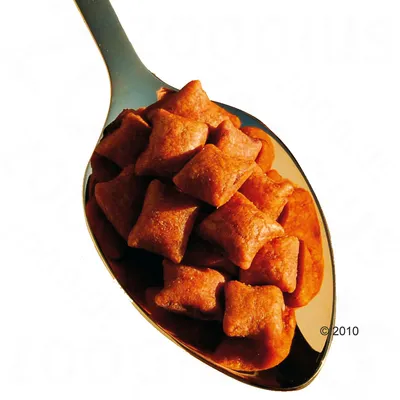 Cucchiaio con bocconcini quadrati marroni per pet, senza confezione o marchio visibile.