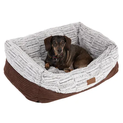 Hund in einem braunen und grauen Hundebett mit weicher Plüschpolsterung.