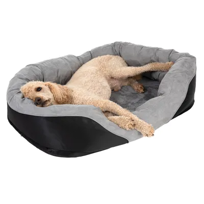 Hund liegt entspannt in einem grauen und schwarzen Hundebett mit gepolsterten Seiten.