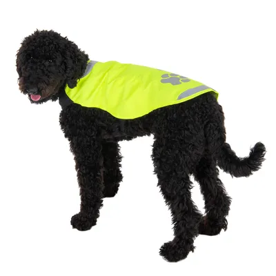 Sort hund bærer en gul reflekterende sikkerhedsvest med gråt pote-motiv.