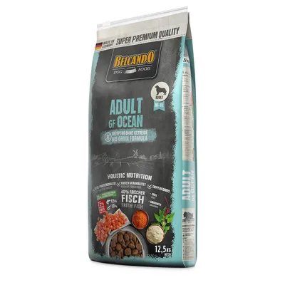 Belcando Dog Food Adult GF Ocean, 12,5 kg, sans céréales, 40 % poisson frais, pour chiens adultes M–XL. Texte en anglais et allemand visible sur l'emballage.
