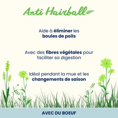 Almo Nature Holistic Anti Hairball 70 g pour chat Almo Nature Holistic Anti Hairball 70 g pour chat