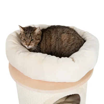 Kratzbaum mit weichem, beigem Liegekissen und einer Katze darauf. Unterhalb des Kissens befindet sich eine Höhle aus Kratzmaterial.