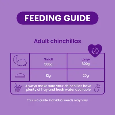 Burgess Excel Chinchilla Nuggets with Mint - Economy Pack: 2 x 1.5kg Burgess Excel Chinchilla Nuggets with Mint - Economy Pack: 2 x 1.5kg
