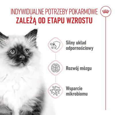 Grafika z kotem i polskim tekstem: Silny układ odpornościowy, Rozwój mózgu, Wsparcie mikrobiomu. Indywidualne potrzeby żywieniowe zależą od etapu wzrostu.