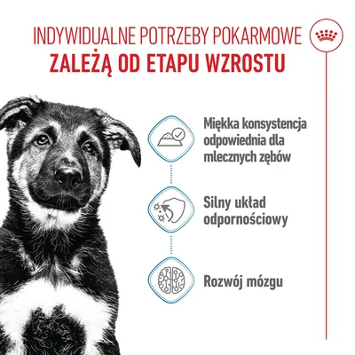 Miękka konsystencja odpowiednia dla mlecznych zębów, silny układ odpornościowy, rozwój mózgu. Indywidualne potrzeby żywieniowe zależą od etapu wzrostu. Miękka konsystencja odpowiednia dla mlecznych zębów, silny układ odpornościowy, rozwój mózgu. Indywidualne potrzeby żywieniowe zależą od etapu wzrostu.