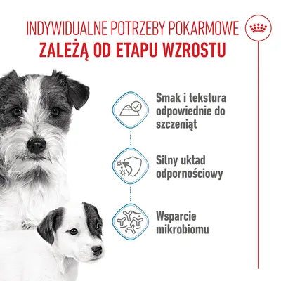 Grafika z trzema punktami: smak i tekstura dla szczeniąt, silny układ odpornościowy, wspomaganie mikrobiomu. Polski tytuł dotyczący indywidualnych potrzeb żywieniowych w zależności od fazy wzrostu. Grafika z trzema punktami: smak i tekstura dla szczeniąt, silny układ odpornościowy, wspomaganie mikrobiomu. Polski tytuł dotyczący indywidualnych potrzeb żywieniowych w zależności od fazy wzrostu.