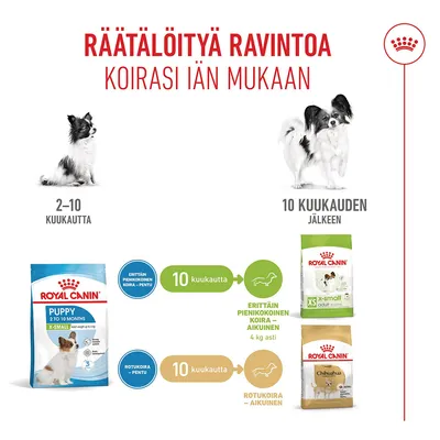 Ruokintasuositus: Royal Canin Puppy koirille 2–10 kuukauden iässä, 10 kuukauden jälkeen siirry XS Adult- tai Chihuahua Adult -ruokaan. Iästä riippuva ruokavalinta esitetty. Ruokintasuositus: Royal Canin Puppy koirille 2–10 kuukauden iässä, 10 kuukauden jälkeen siirry XS Adult- tai Chihuahua Adult -ruokaan. Iästä riippuva ruokavalinta esitetty.