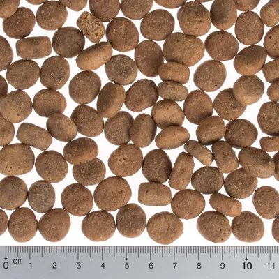 Pienso seco redondo de color marrón sobre fondo blanco, con regla en la parte inferior que muestra el tamaño de las croquetas entre 1 y 2 cm de diámetro.