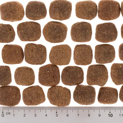 Detailní pohled na granule čtvercového tvaru, pod nimi měřítko v centimetrech od 0 do 11 cm pro určení velikosti jednotlivých granulí.