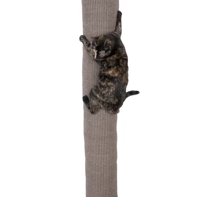 Katze klettert an einem Kratzbaum mit braunem Sisalbezug.