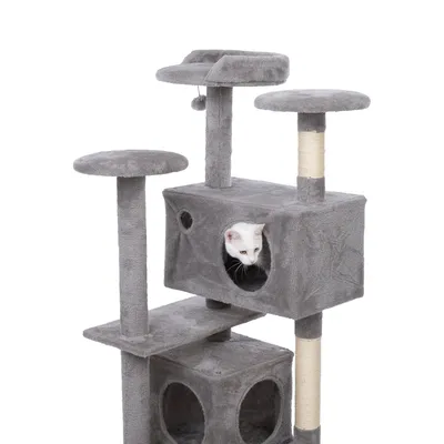 Grey cat tree with multiple levels, two caves and sisal-wrapped posts. White cat looking out from one of the caves.