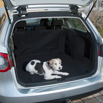 Hund ligger på en svart skyddsmatta i bagageutrymmet på en bil. Mattan skyddar interiören mot smuts och repor.