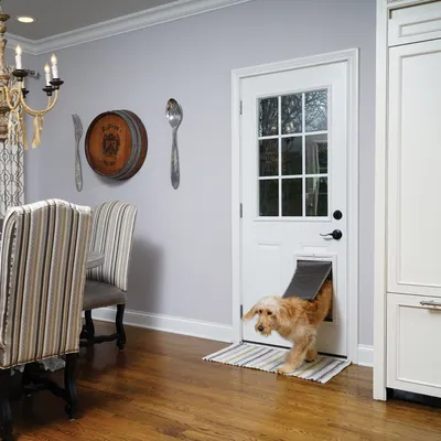 Cane che utilizza una porticina installata in una porta bianca. Interno con pavimento in legno e mobili da sala da pranzo visibili.