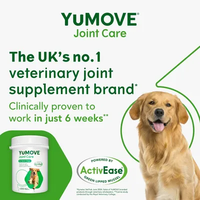 YuMOVE Joint Care, the UK’s no.1 veterinary joint supplement brand, clinically proven to work in just 6 weeks, powered by ActivEase green lipped mussel.