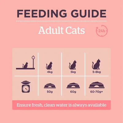 Feeding guide for adult cats: 4kg cat needs 50g, 5kg cat needs 60g, 5-8kg cat needs 60-70g or more per day. Ensure fresh, clean water is always available.