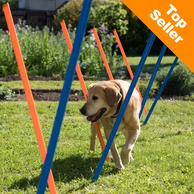 Agility Fun & Sport Slalom-Sæt