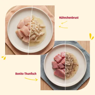 Zwei Teller mit Hähnchenbrust und Bonito Thunfisch, jeweils roh und zubereitet dargestellt. Beschriftungen: Hähnchenbrust, Bonito Thunfisch. Zwei Teller mit Hähnchenbrust und Bonito Thunfisch, jeweils roh und zubereitet dargestellt. Beschriftungen: Hähnchenbrust, Bonito Thunfisch.