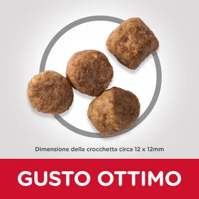 Quattro crocchette, dimensione circa 12 x 12 mm. Testo visibile: GUSTO OTTIMO.