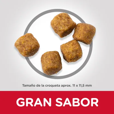 Croquetas de pienso, tamaño aproximado 11 x 11,5 mm. Texto visible: GRAN SABOR.