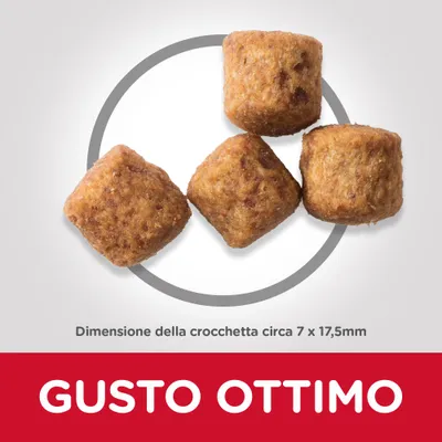 Quattro crocchette, dimensione circa 7 x 17,5 mm. Testo visibile: GUSTO OTTIMO.