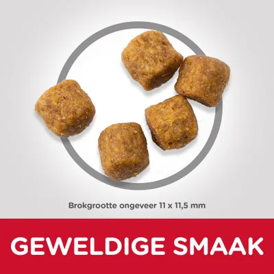 Brokken, brokgrootte ongeveer 11 × 11,5 mm. Tekst: GEWELDIGE SMAAK.