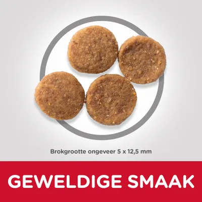 Brokgrootte ongeveer 5 × 12,5 mm. Tekst: GEWELDIGE SMAAK.