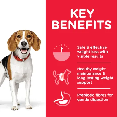 KEY BENEFITS: Safe & effective weight loss with visible results, Healthy weight maintenance & long lasting weight support, Prebiotic fibres for gentle digestion (κείμενο στα αγγλικά).