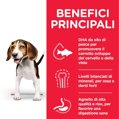Benefici principali: DHA da olio di pesce per cervello e vista, minerali bilanciati per ossa e denti forti, agnello e riso per digestione sana.