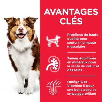 AVANTAGES CLÉS : Protéines de haute qualité pour la masse musculaire, minéraux équilibrés pour le cœur et les reins, oméga-6 et vitamine E pour la peau et le pelage brillant.