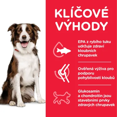 Klíčové výhody: EPA z rybího tuku udržuje zdraví kloubních chrupavek, ověřená výživa pro podporu pohyblivosti kloubů, glukosamin a chondroitin jsou stavebními prvky zdravých chrupavek.