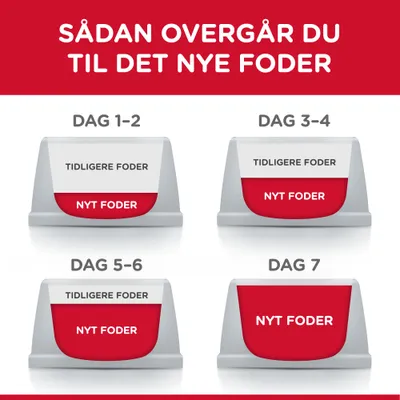 Guide til overgang til nyt foder: Dag 1–2 mest tidligere foder, lidt nyt foder; dag 3–4 halvt af hver; dag 5–6 mest nyt foder; dag 7 kun nyt foder. Tekst: SÅDAN OVERGÅR DU TIL DET NYE FODER.