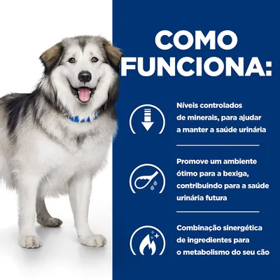 Texto: Como funciona. Níveis controlados de minerais para ajudar a manter a saúde urinária. Ambiente ótimo para a bexiga. Combinação sinergética de ingredientes para o metabolismo do cão.