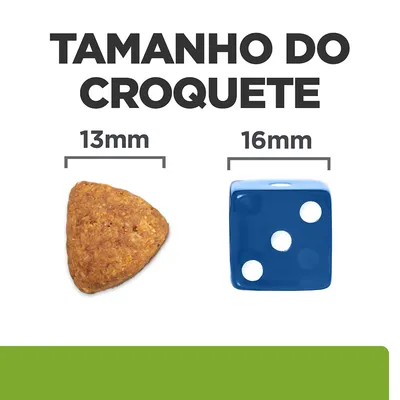 Tamanho do croquete: 13 mm ao lado de um dado azul de 16 mm. Texto visível: 'TAMANHO DO CROQUETE', '13mm', '16mm'.