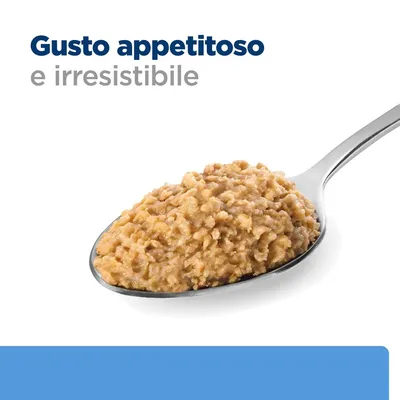 Gusto appetitoso e irresistibile, testo visibile sopra una cucchiaiata di alimento umido marrone chiaro su cucchiaio metallico.