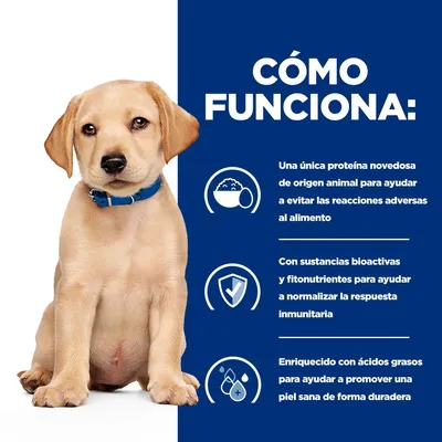 Texto: Cómo funciona. Una única proteína novedosa de origen animal para ayudar a evitar las reacciones adversas al alimento. Con sustancias bioactivas y fitonutrientes para ayudar a normalizar la respuesta inmunitaria. Enriquecido con ácidos grasos para ayudar a promover una piel sana de forma duradera.