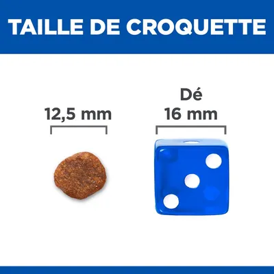 Taille de croquette 12,5 mm comparée à un dé bleu de 16 mm. Texte visible : 'TAILLE DE CROQUETTE', '12,5 mm', 'Dé 16 mm'.