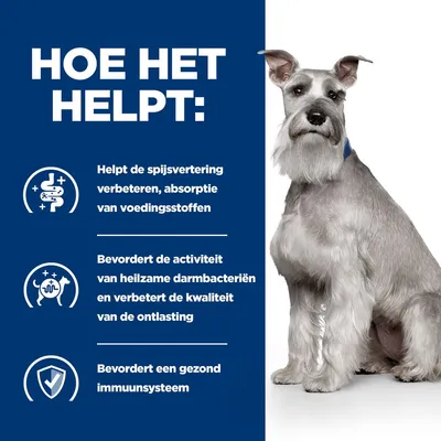 Hoe het helpt: verbetert spijsvertering en opname voedingsstoffen, bevordert darmbacteriën en ontlasting, ondersteunt gezond immuunsysteem. Afbeelding van een zittende hond.